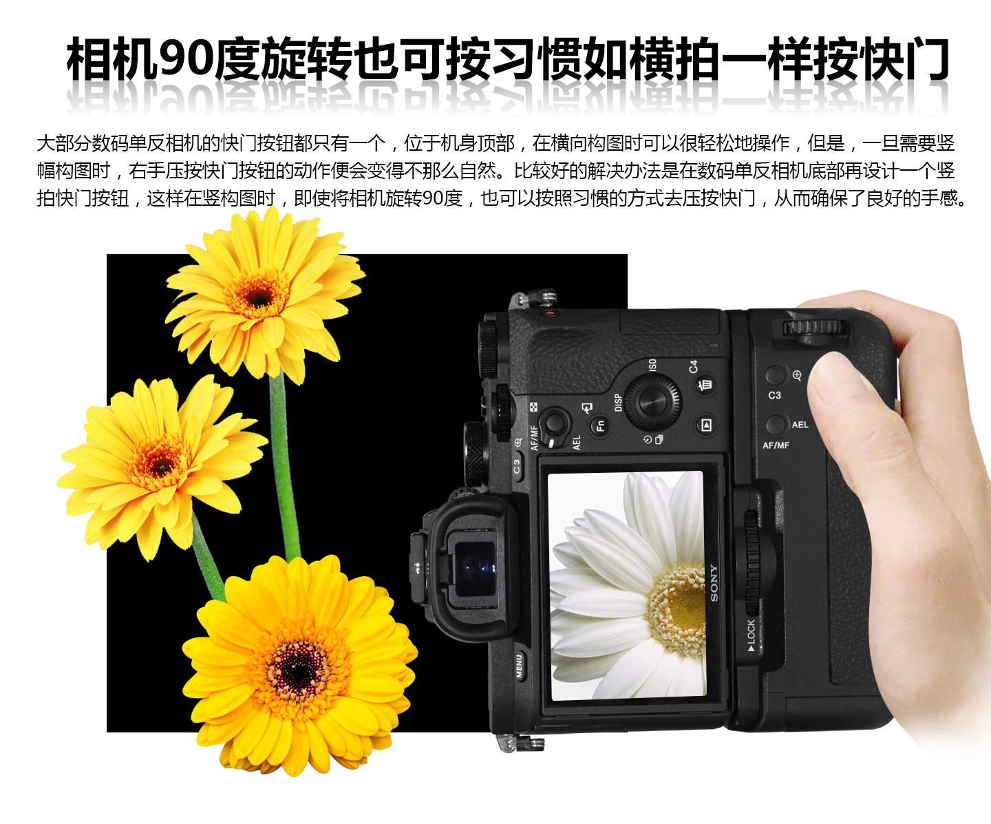 竖排快门按钮