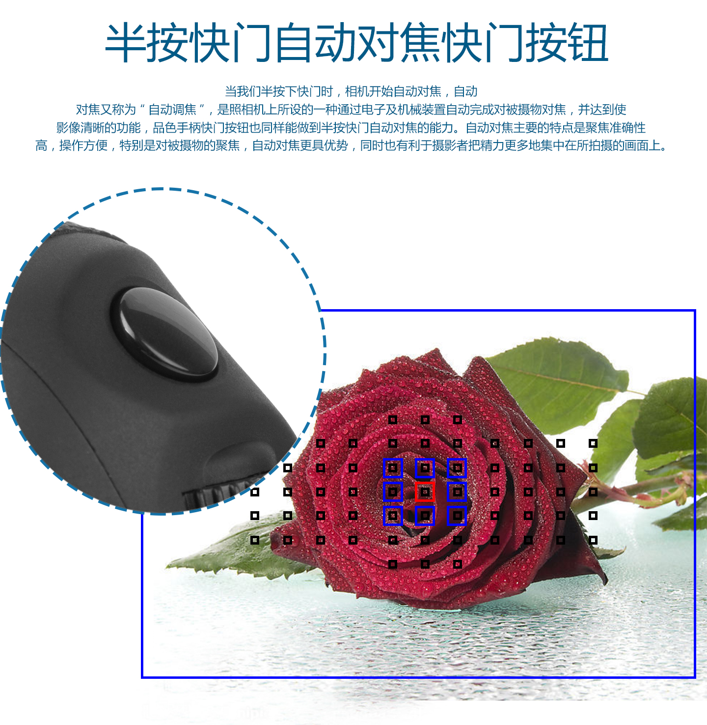 半按快门自动对焦快门按钮