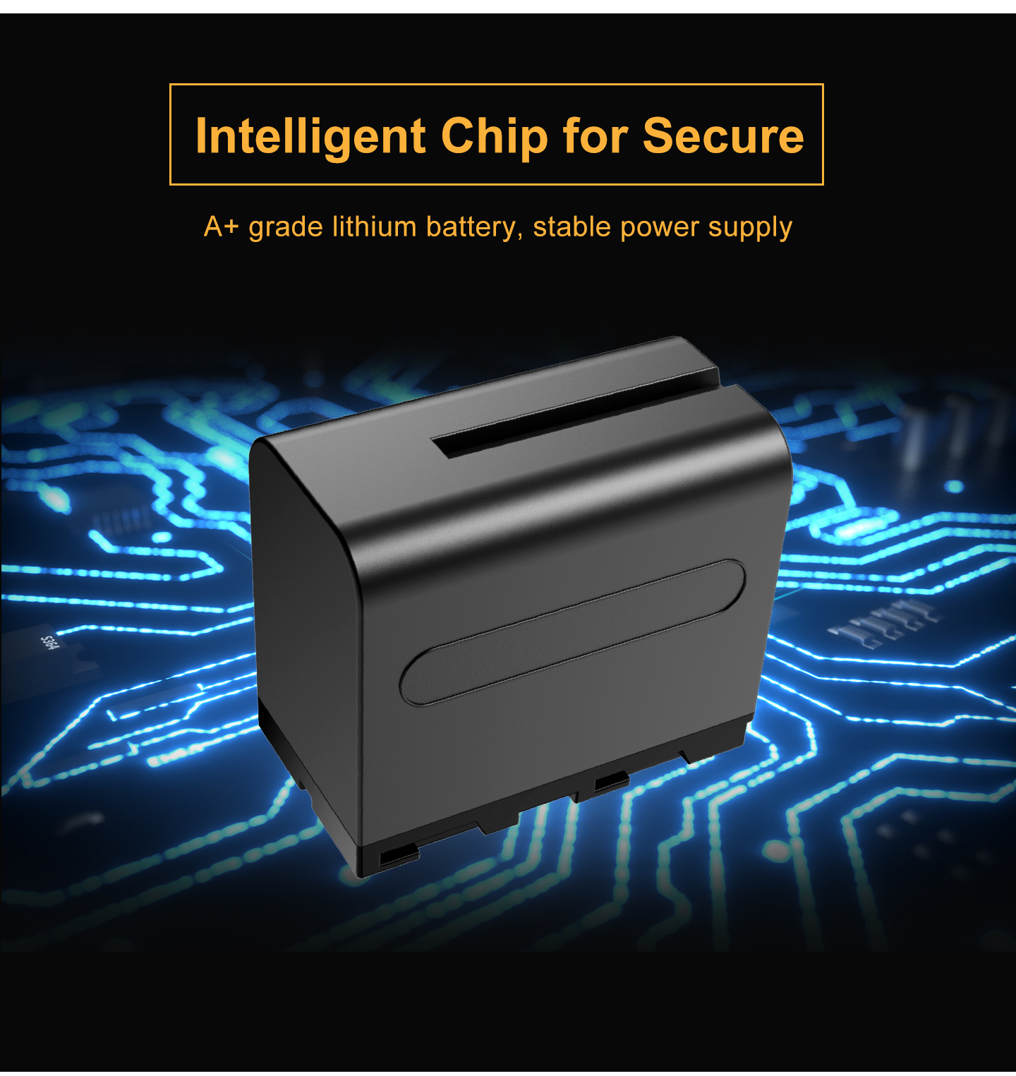 lntelligent Chip for Secure