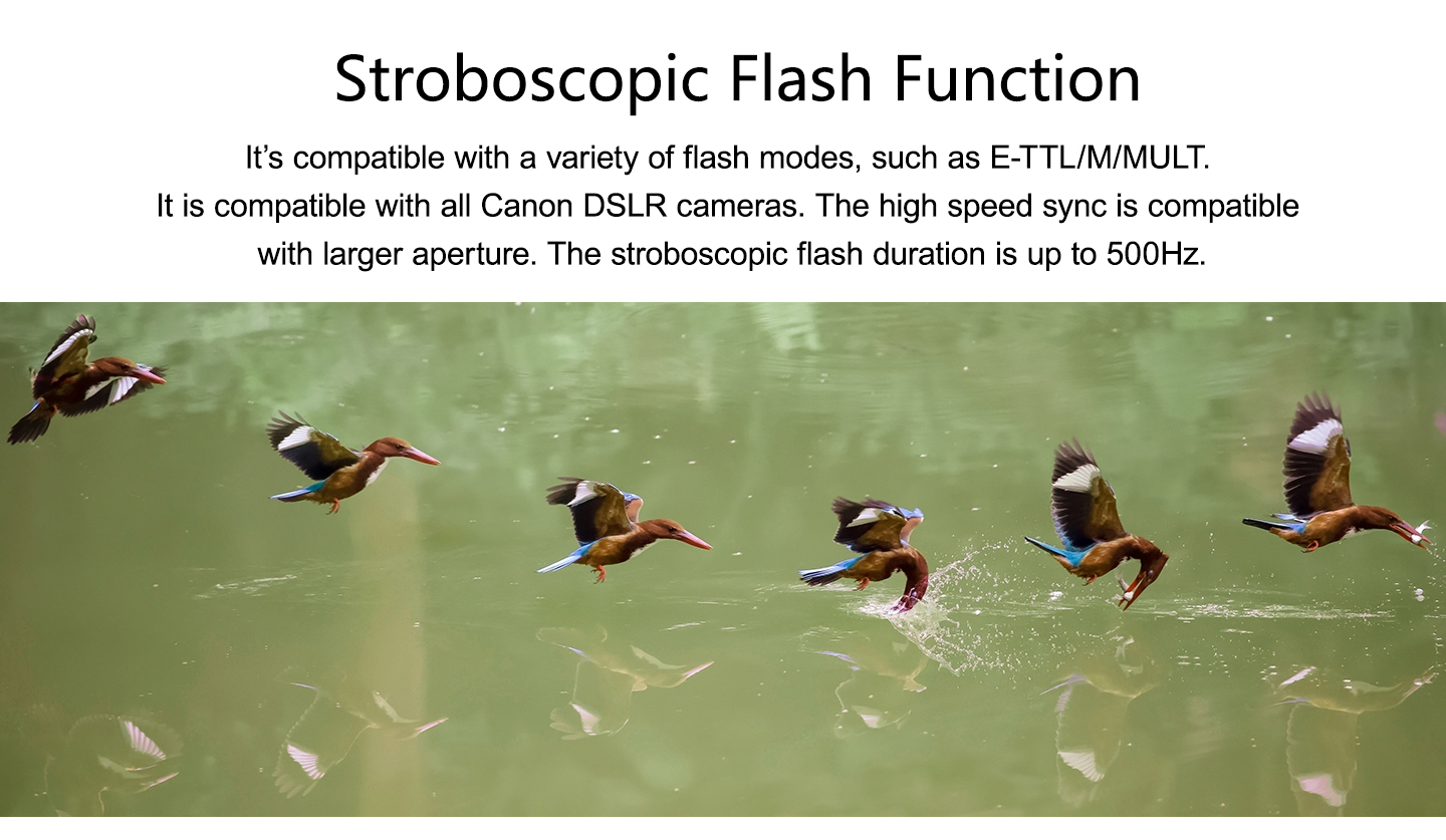 Stroboscopic Flash Function