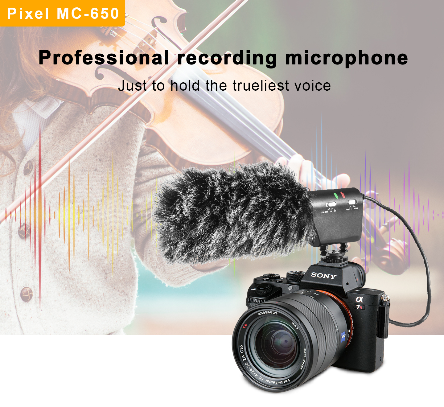 Professional recording microphone